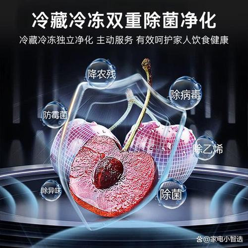 如何挑选适合自己的冰箱 家用制冷电器具选购指南