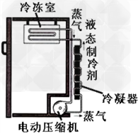 你对家中的电冰箱肯定很熟悉,请你谈谈电冰箱的工作原理.答:电冰箱利用了叫做氟利昂的物质作为热的&ldquo;搬运工&rdquo;, - 上学吧找答案